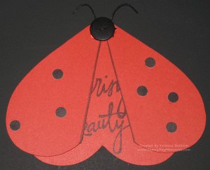 Open Art Philosophy Heart Ladybug
