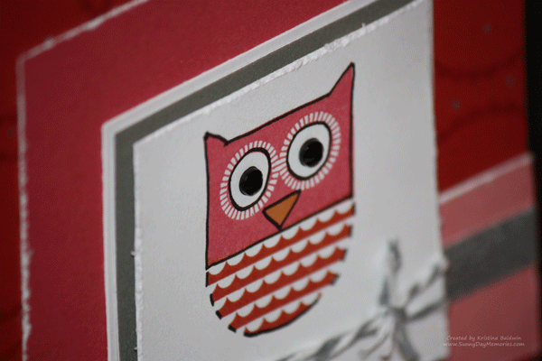 Closeup Owl Whooo's Your Valentine Card