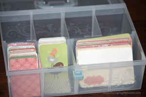 CTMH Medium Organizer for PML or Project Life Cards