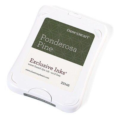 CTMH Ponderosa Pine Color