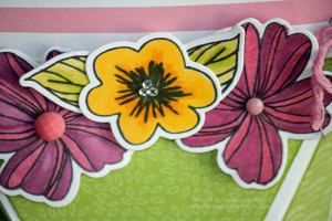Close-up of Springtime Wishes Flowers