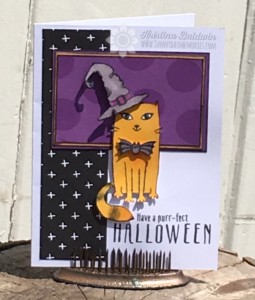 Purrfect Halloween Card