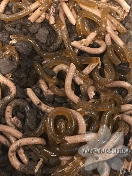Jello Worms
