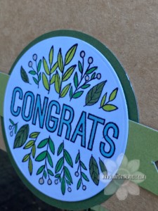 Angled View of Congrats Double Dutch Fold Card