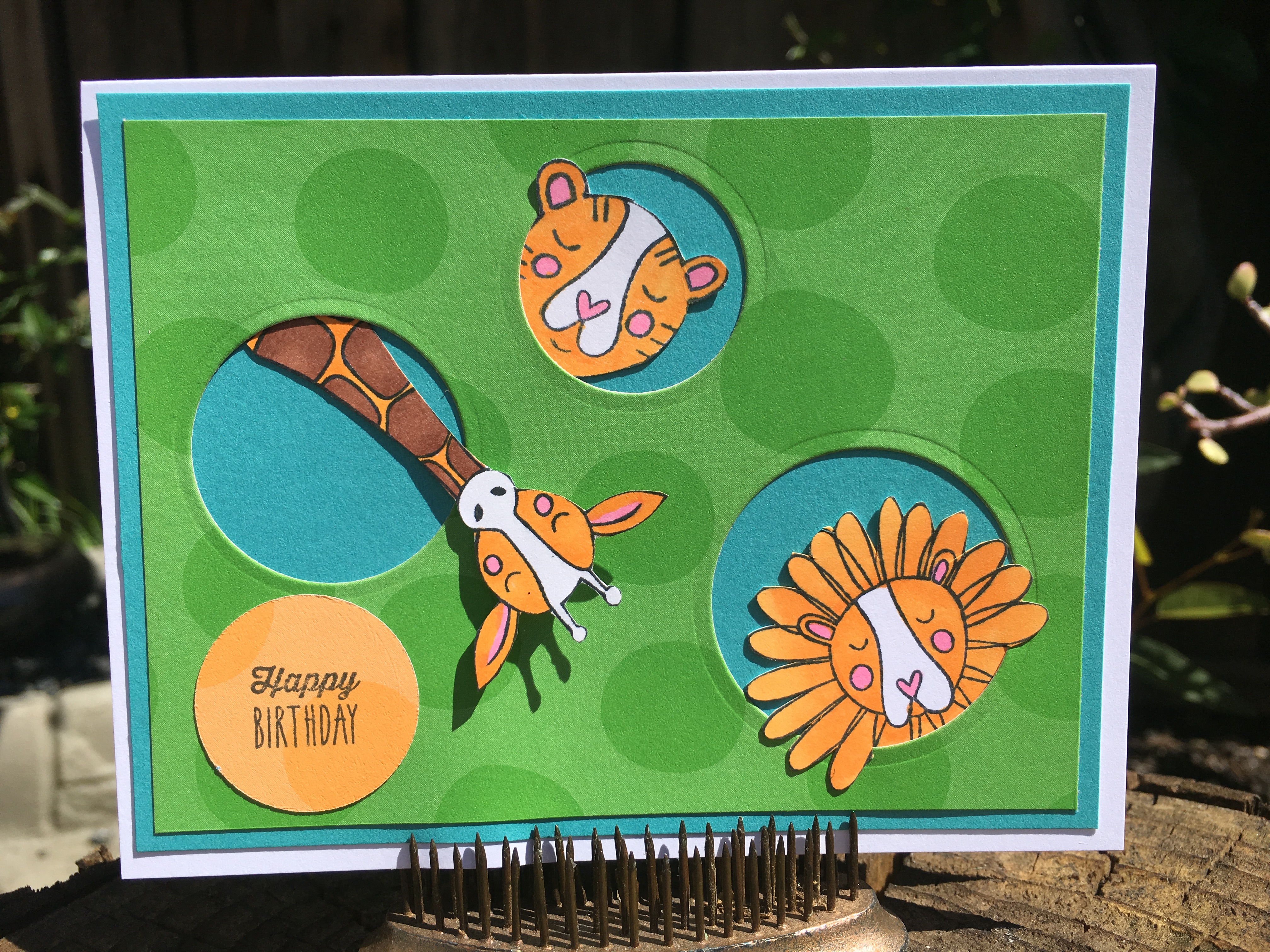 Twins Rule Birthday Card