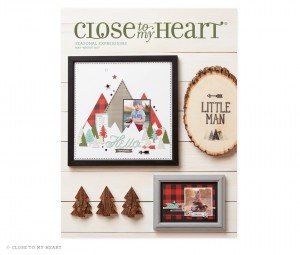 CTMH Seasonal Expressions 2 Catalog