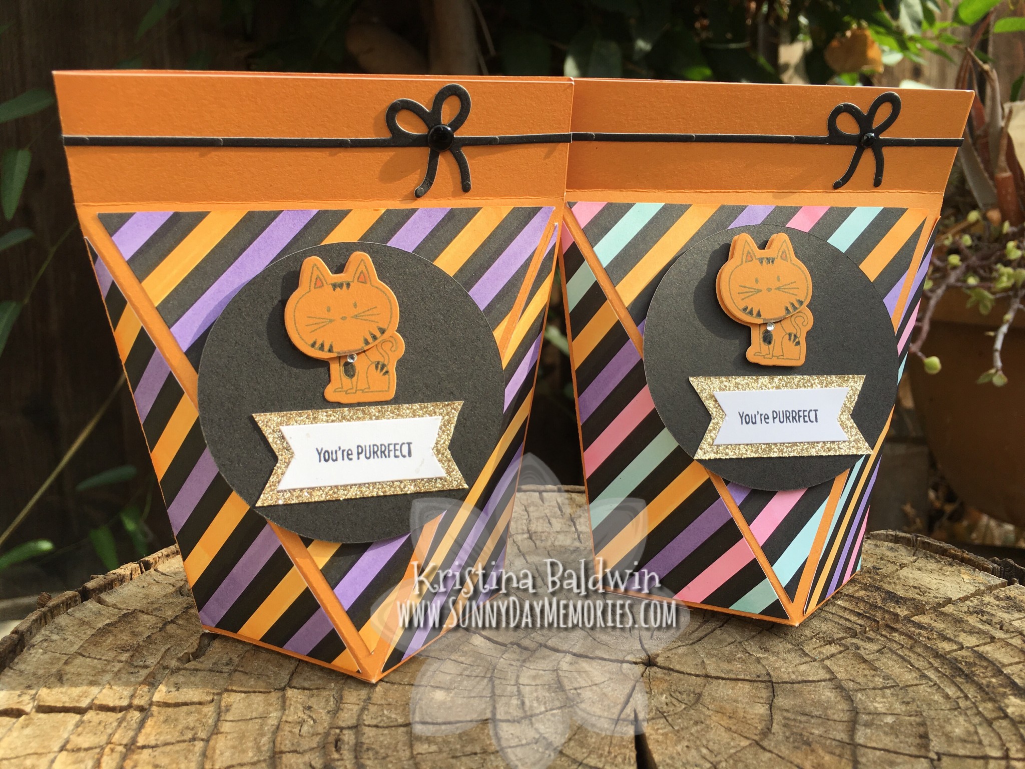 Punny Pals Halloween Boxes
