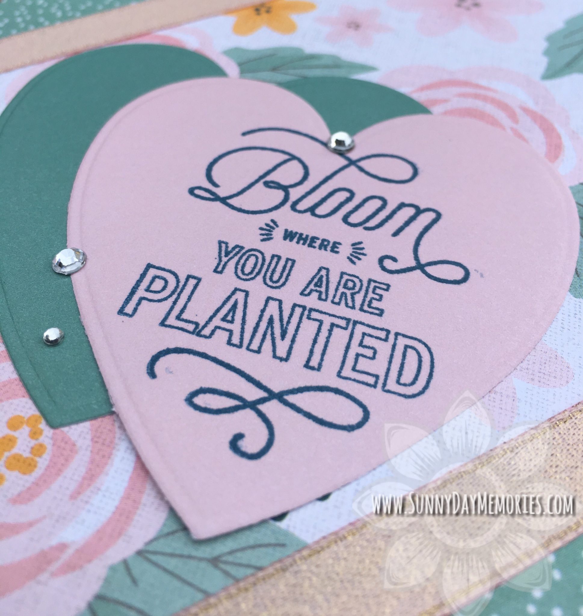 Closeup Bloom Where You are Planted Card