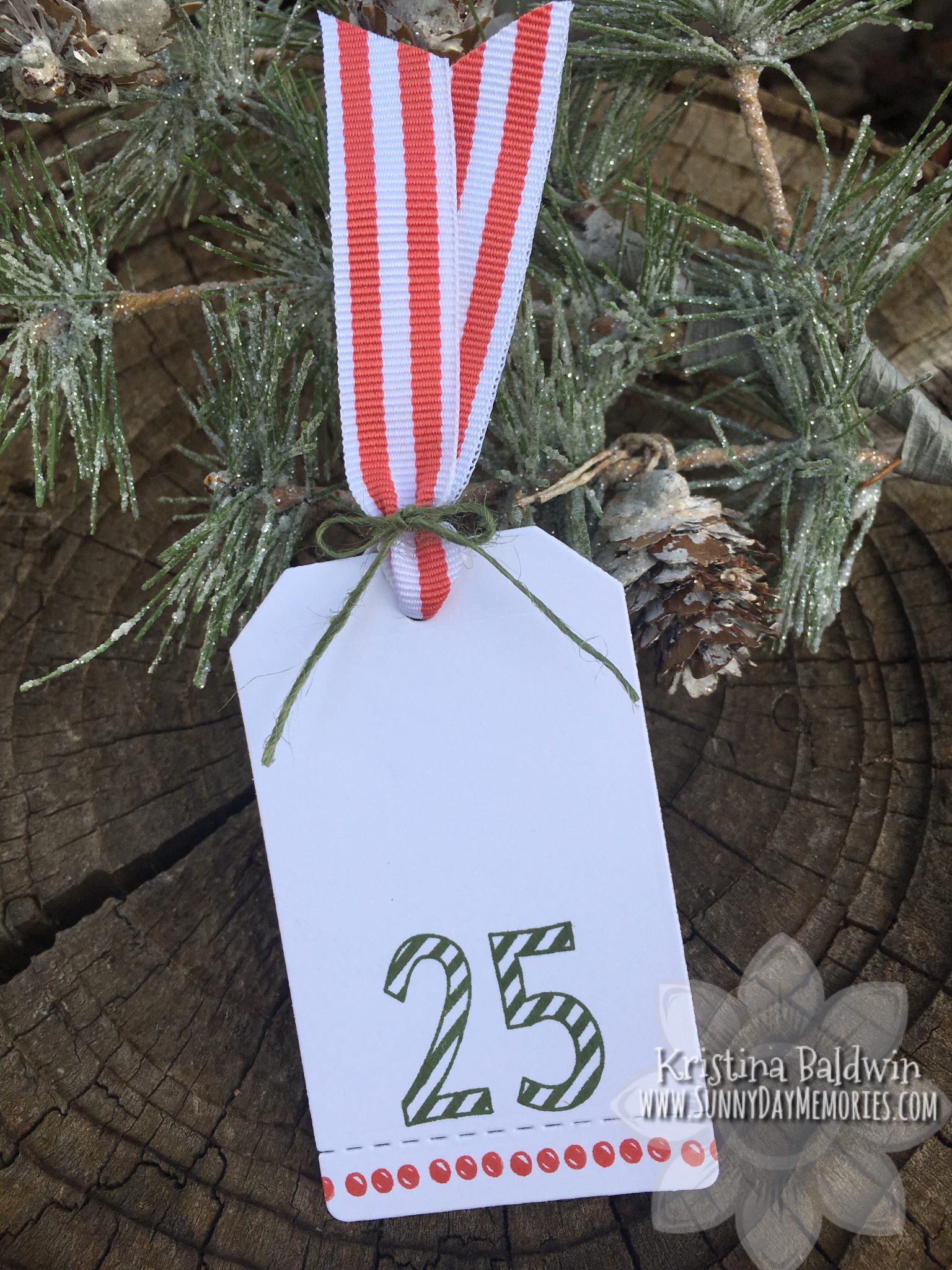 Fancy Candy Cane Alpha Holiday Tag