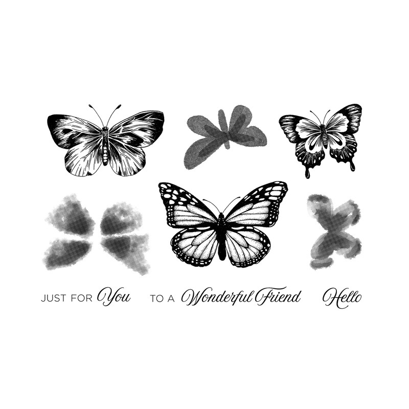 Butterfly Friendship Card