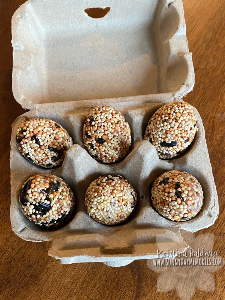 Birdseed Eggs in Carton