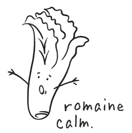 CTMH Romaine Calm Stamp Set