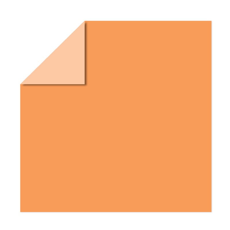 Close To My Heart Nectarine Cardstock