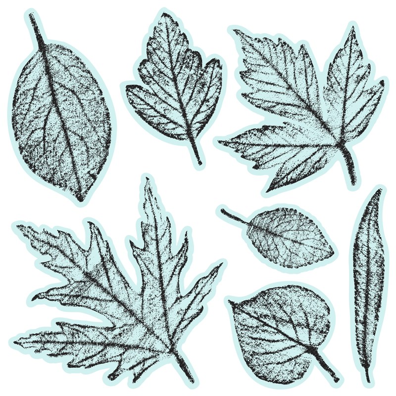 CTMH Textured Leaves Stamp Set D1944