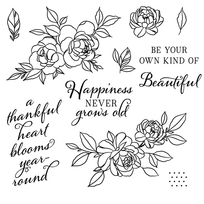 Happiness Never Grows Old Stamp Set S2012