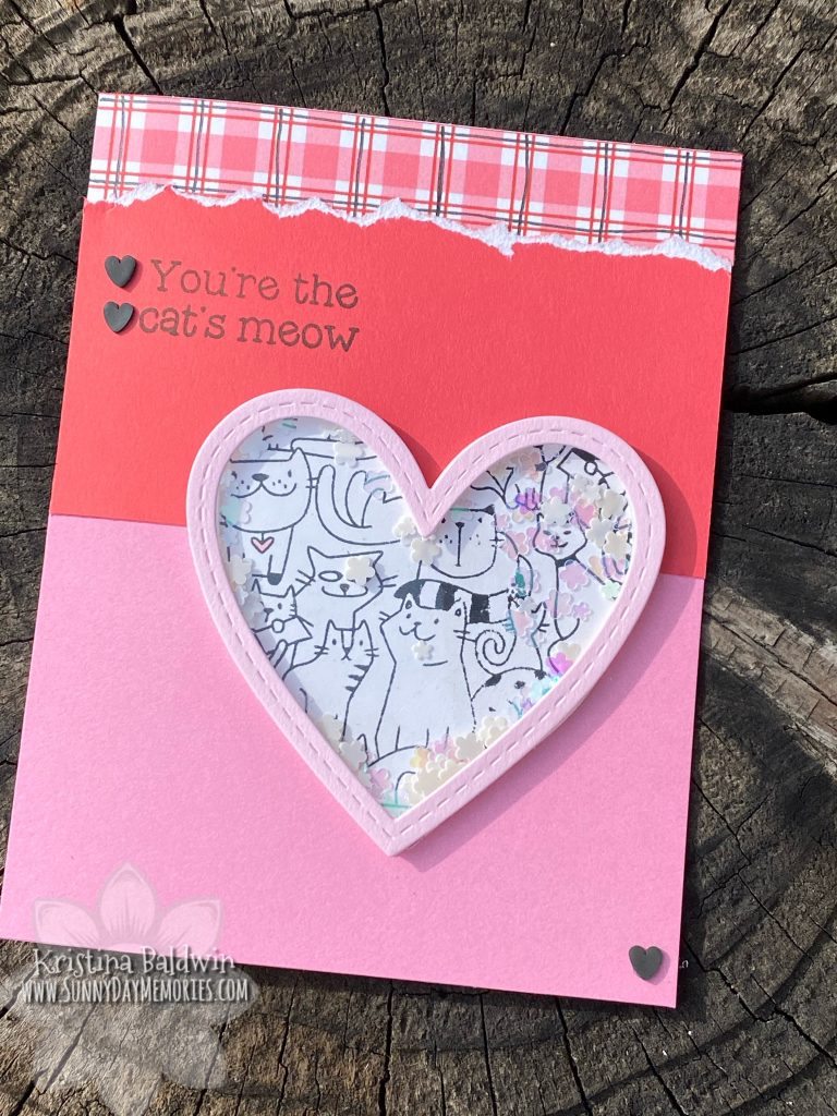 Cat's Meow Shaker Valentine Card