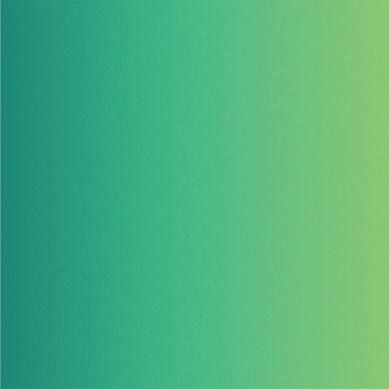 CTMH Oasis Holographic Paper