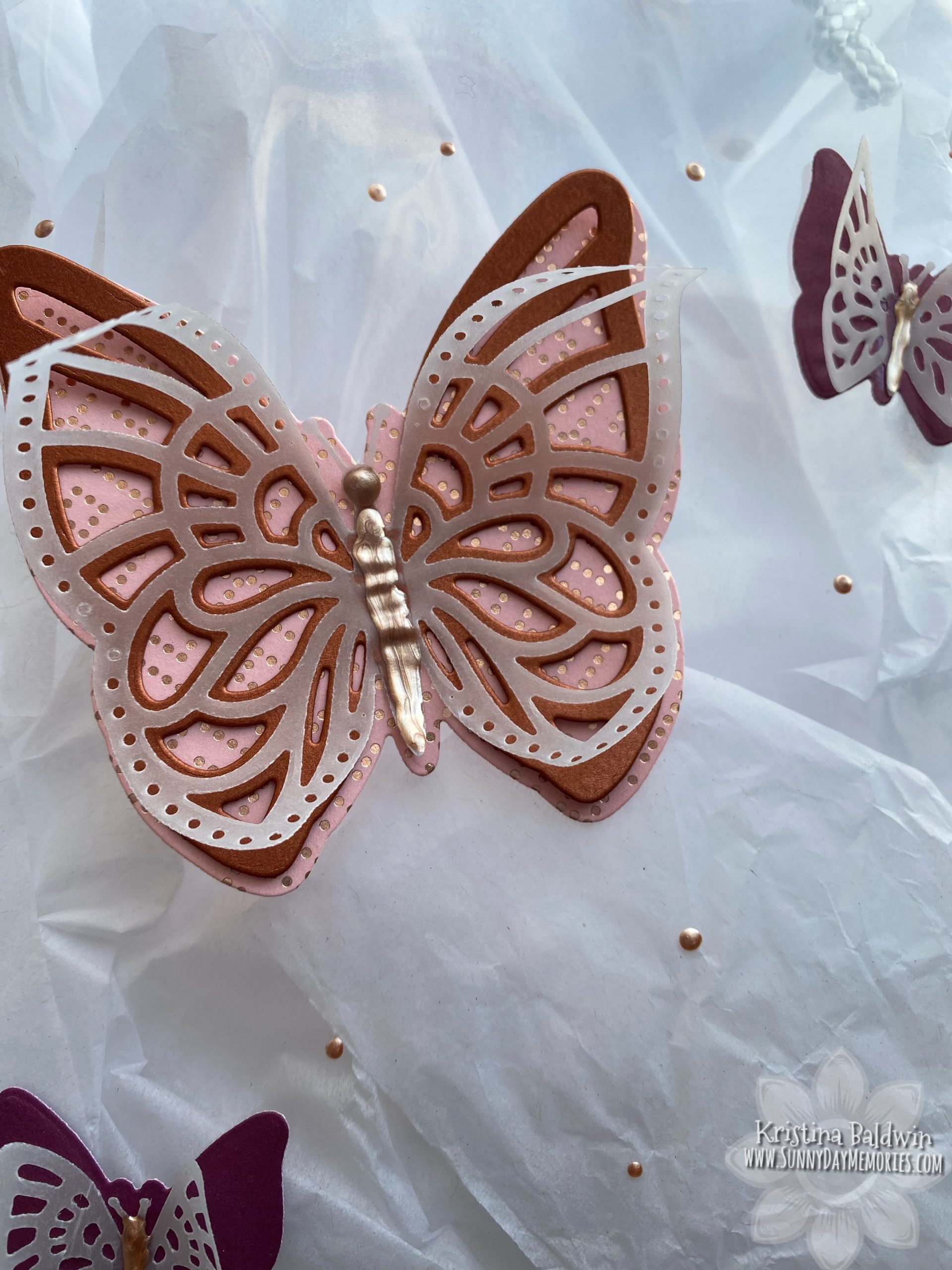 CTMH Layered Butterflies Bag Closeup