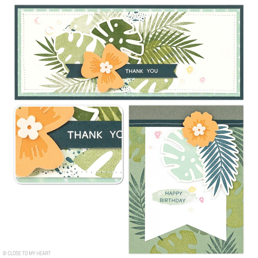 CTMH Palm Fronds Cards