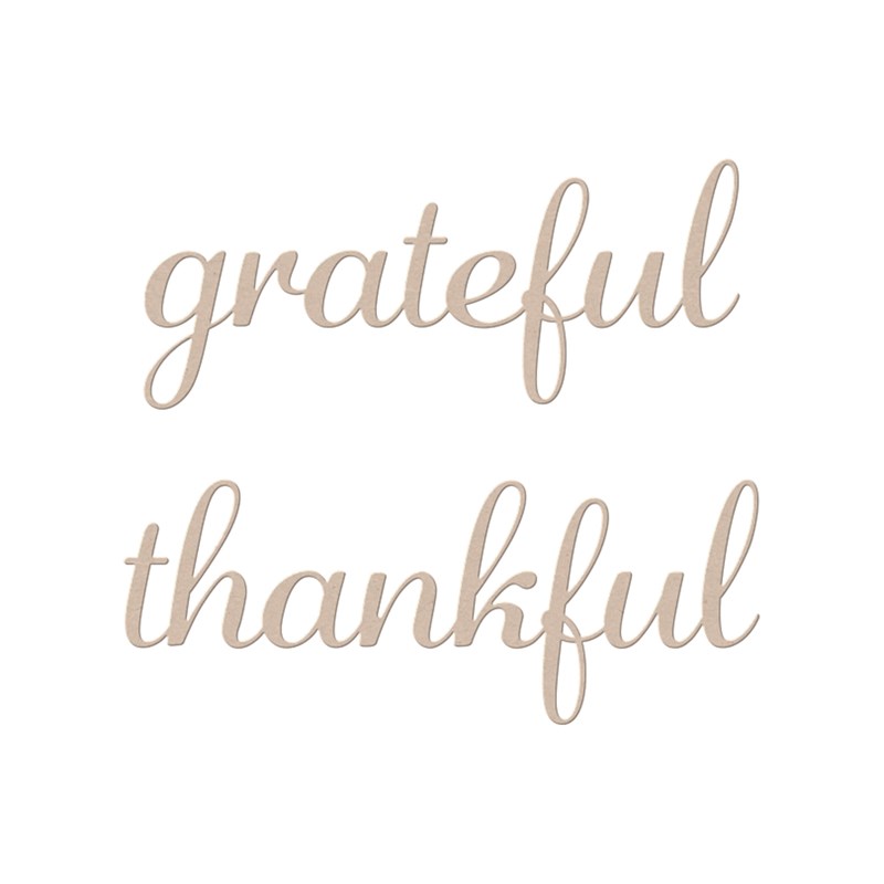 CTMH Gratitude Thin Cuts