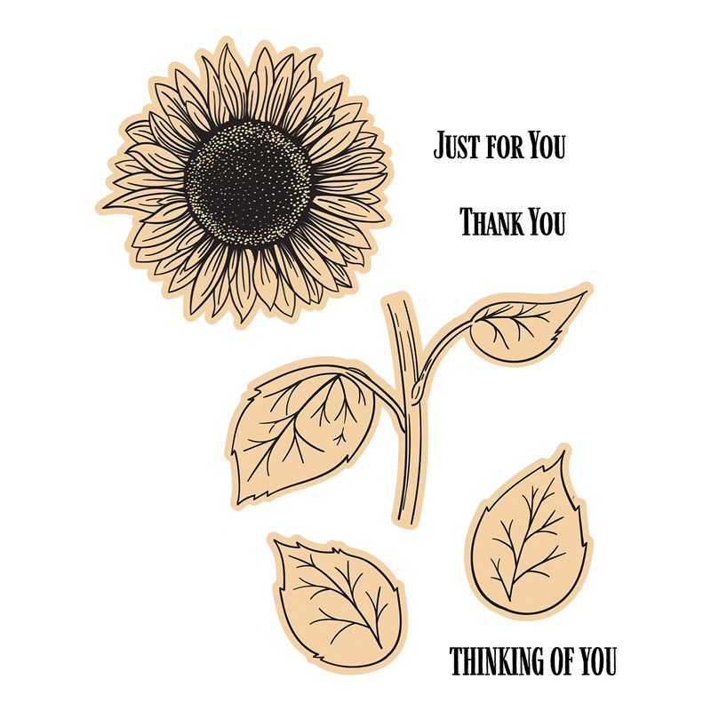 CTMH Sunflower Thoughts Stamp + Thin Cuts