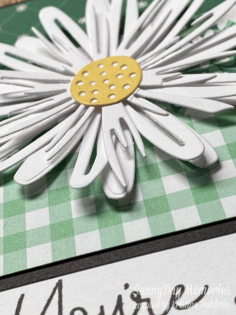 CTMH Daisy, Daisy You're Amazing Card Close-up
