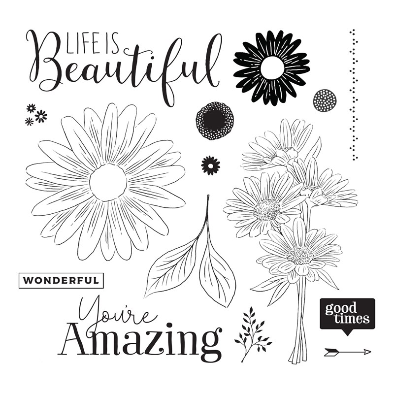 CTMH Daisy Daisy Stamp Set
