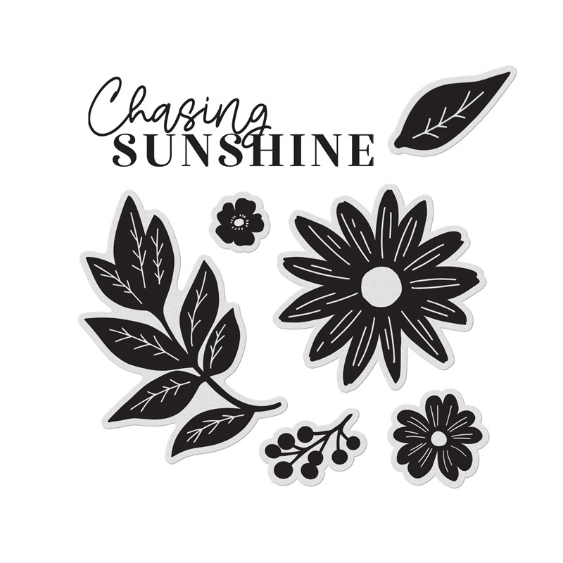 CTMH Chasing Sunshine Stamp + Thin Cuts