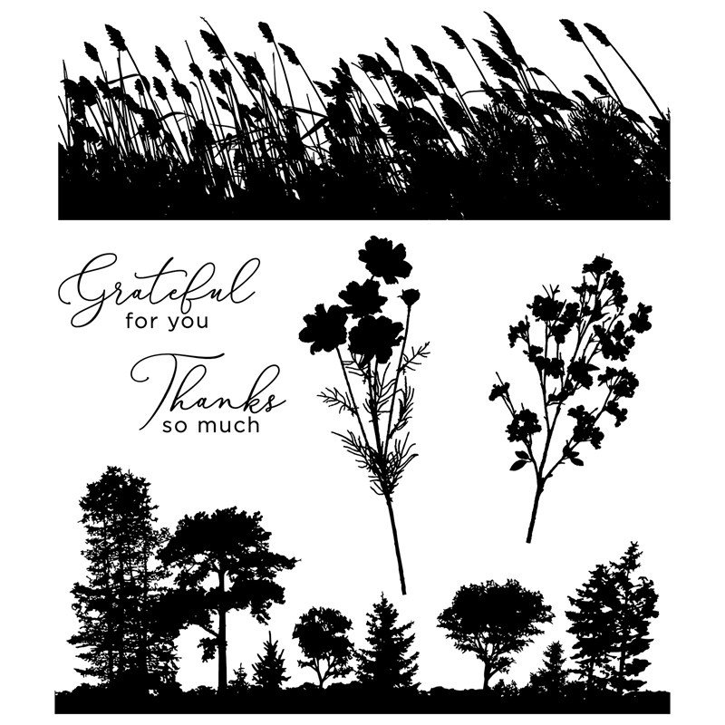 CTMH June Stamp of the Month, Botanical Shadows